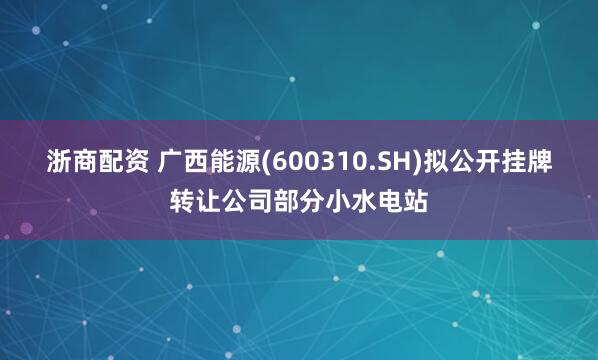 浙商配资 广西能源(600310.SH)拟公开挂牌转让公司部分小水电站